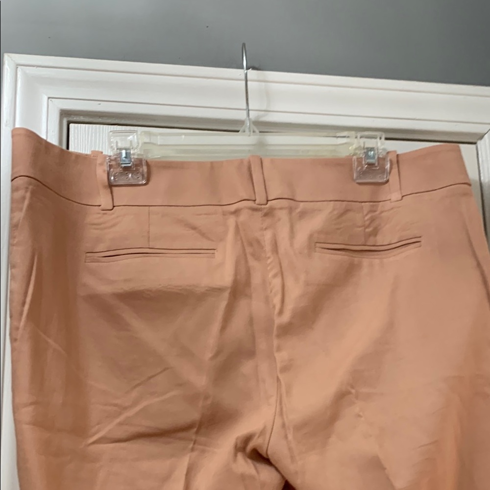 Loft Ann Taylor Chic Tan Trousers View 4